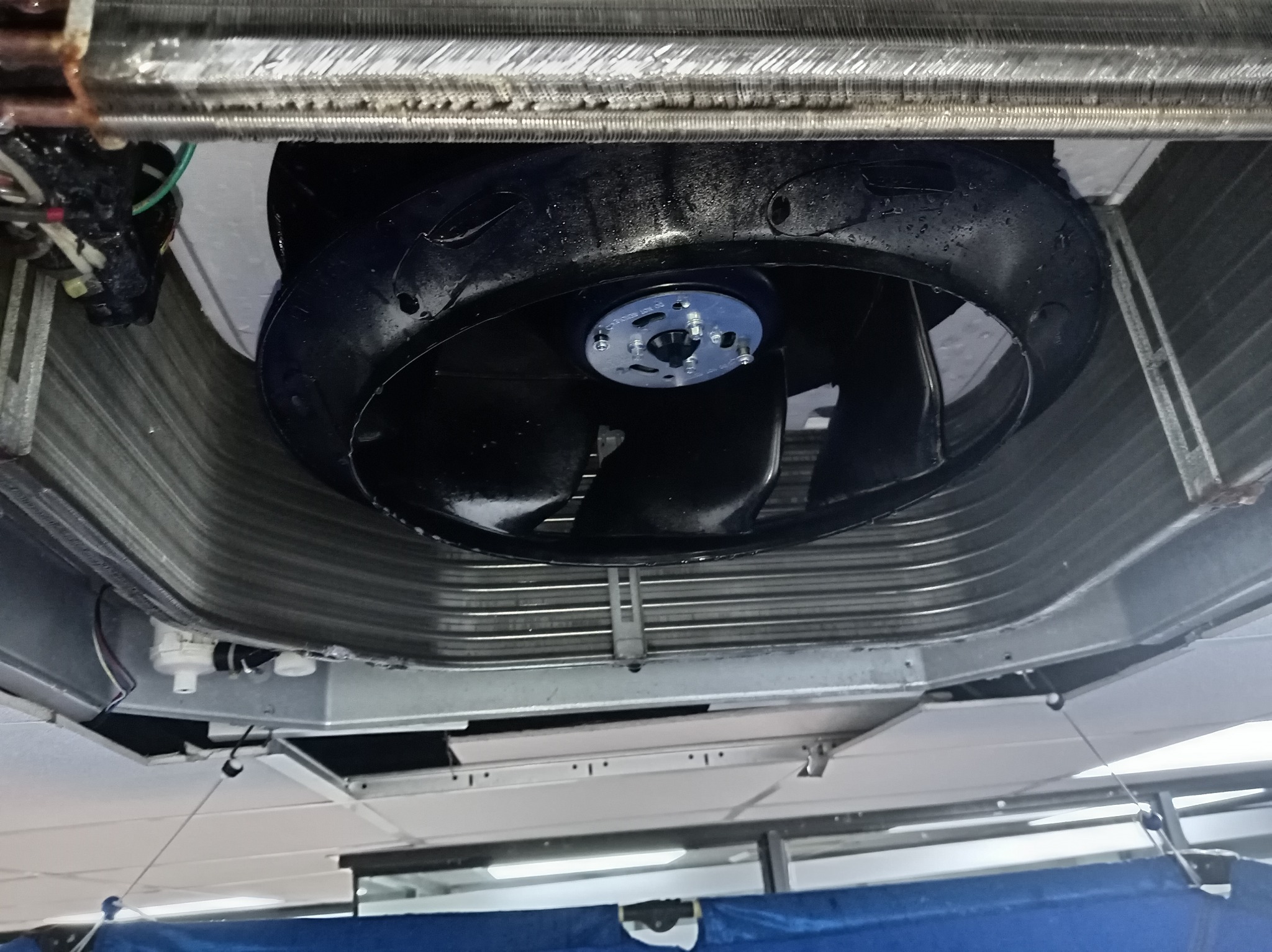 Mantenimiento y desinfección de Cassette